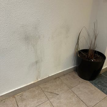 Mikrop Salgınına Neden Olan Kirli Otelde Sağlık Felaketi