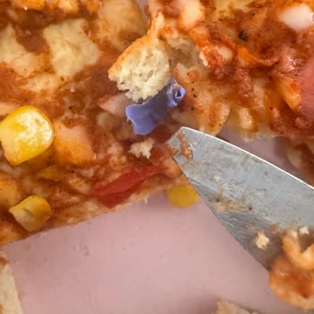 A101 Pendik Şubesinde Satın Alınan Pizzada Plastik Benzeri Yabancı Madde Bulunması