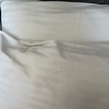 Oda Temizliği Yetersizliği Ve Hijyen Sorunu