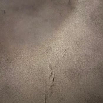 4 Yılda Aşırı Yıpranan Bellona Koltuk Takımının Ücretsiz Kumaş Değişimi Talebi