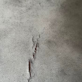 4 Yılda Aşırı Yıpranan Bellona Koltuk Takımının Ücretsiz Kumaş Değişimi Talebi