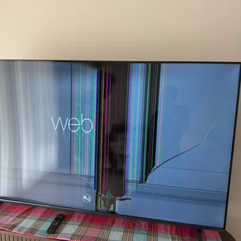 Kırık Panel Ve Cevapsız LG Servisi