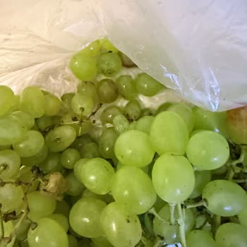 Migros'ta Hasarlı Ürünler Ve Cevapsız İade Süreci