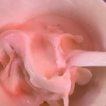 Ankara Çankaya Lotus Cafe’de Dondurmanın İçindeki Siyah Lekeler Ve Hijyen Çıkmazı