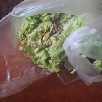 Migros Hemen’de Çürük Marul Gönderimi Ve Kalite Kontrolü Eksikliği