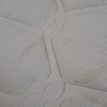 Mondi Home Yatağında Yay Çökmesi Ve Ses Sorunu İçin Değişim Talebi