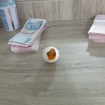 Yumurtadan Yarım Civciv Çıktı: Kalite Kontrolü Şaibeli