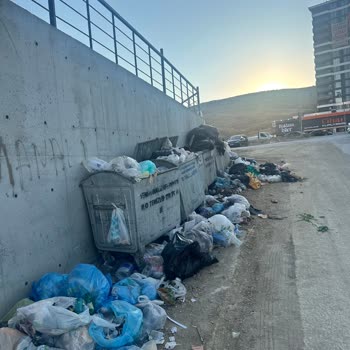 Ada Gross Marketinin Çöp Konteynerleri Apartman Girişinde Koku Ve Hijyen Sorununa Neden Oluyor