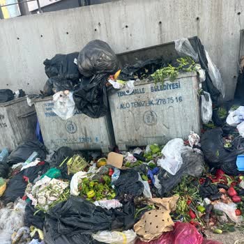 Ada Gross Marketinin Çöp Konteynerleri Apartman Girişinde Koku Ve Hijyen Sorununa Neden Oluyor