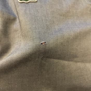 Lacoste Gömlekte Üretim Hatası İlk Ütüde Kesik Görüldü