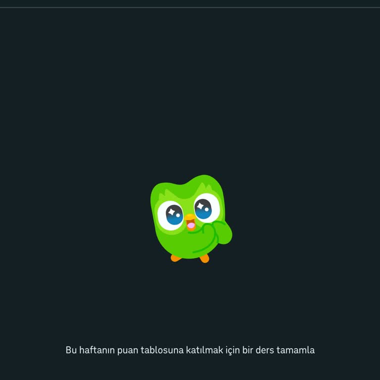 Elmas Ligi Puan Tablosuna Katılamama Sorunu