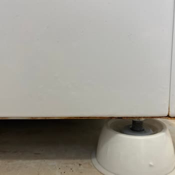 Bosch Çamaşır Makinesinde Erken Paslanma Ve Garanti Kapsamı Reddi