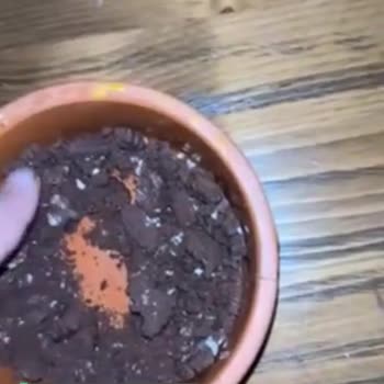 Eti Nero'dan Midem Bulanıyor
