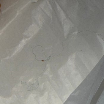 Hot Döner Şubesi Dürümünde Tel Benzeri Yabancı Madde Ve Hijyen İhlali