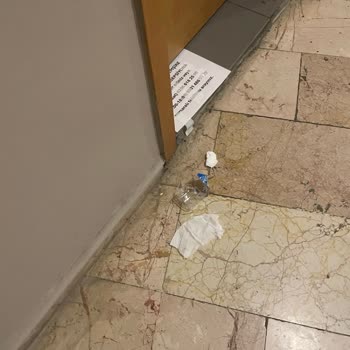 Personel Eksikliği, Hijyen Sorunları Ve Sineklerin Oda Konforunu Bozması