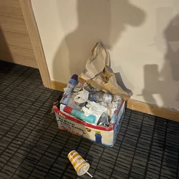 Personel Eksikliği, Hijyen Sorunları Ve Sineklerin Oda Konforunu Bozması