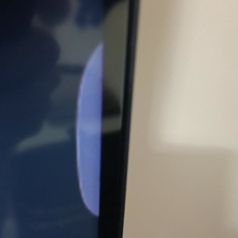 Sunny Webos TV Panel Arızası Ve Kötü Servis Tutumu Ürün Değişimi Talebi