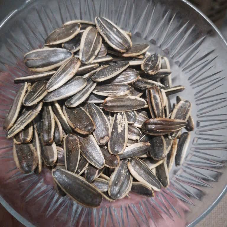 Çitlekçi Bayat Ve Küçük Ay Çekirdeği Kalitesi
