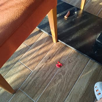 Afyon Cumhuriyet Sucukları Tesisinde Hijyen Ve Personel Davranışı Sorunları