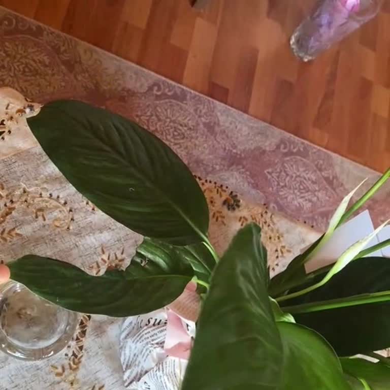Çiçek Sepeti Ayıplı Çiçek Ve Yetersiz Değişim Süreci