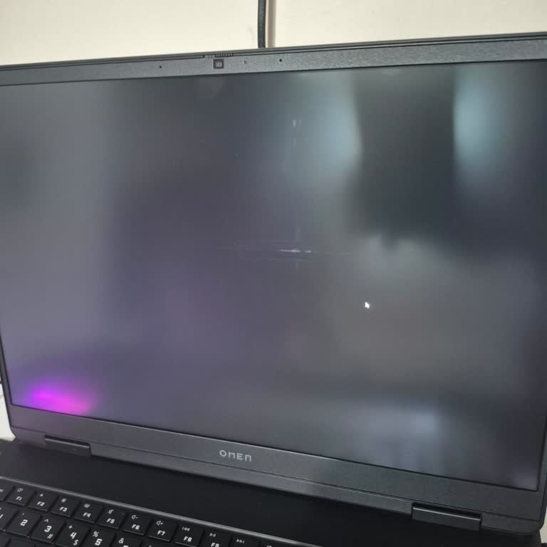 Tekrarlayan Ayıplı HP Laptop: Yanık Ekran Ve Şişmiş Batarya, İade Sorunu