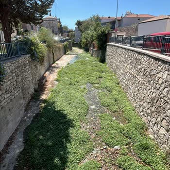 Dere Kokusundan Kaynaklanan Yaşam Kalitesi Ve Sağlık Problemi