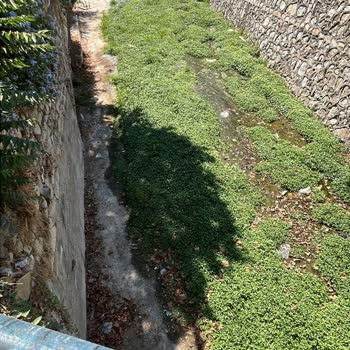 Dere Kokusundan Kaynaklanan Yaşam Kalitesi Ve Sağlık Problemi