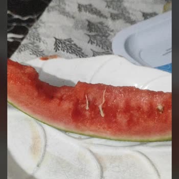BİM Tuzla Şifa Mahallesi’nden Alınan Karpuzda Acı Filizler: Sağlık Ve Kalite Kontrolüne Acil Çağrı