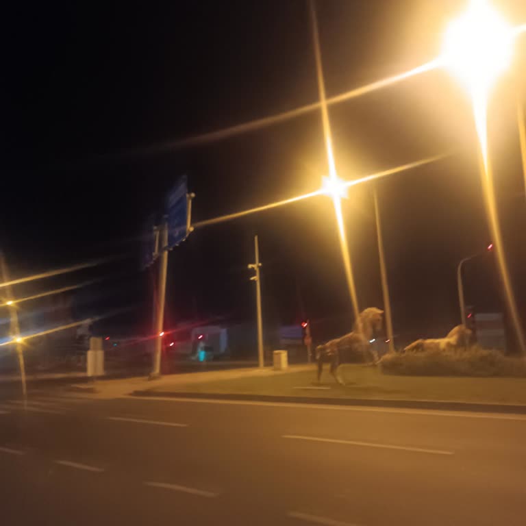 Otobüsün Nevşehir Otogarına Gelmemesi Ve 2 Saat Rötar