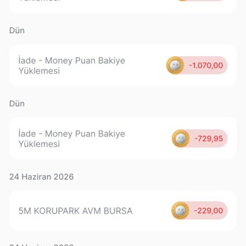 Money Puanım Açıklama Olmadan Geri Alındı Ve Müşteri Hizmetine Ulaşılamıyor