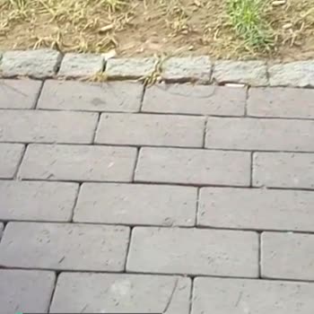 Antalya Büyükşehir Belediyesi Park Kirliliği