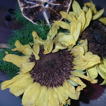 Çiçek Sepeti Sipariş Edilen Çiçek Görseldekiyle Uyuşmuyor ve Üç Saatte Soldu