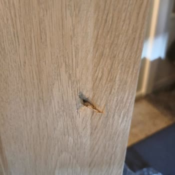 Hasarlı Raf, Kötü Paketleme Ve IKEA’nın İade Sürecinde Sorumluluğu Reddetmesi