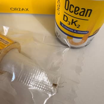 Orzax Vitamin Damlasında Böcek Bulunması Ve Gummies’te Kötü Koku Ve Yapışkanlık