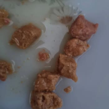 Yanıltıcı Etiketli Kedi Konservesi Ve Tekrarlanan Yanlış Ürün Gönderimleri