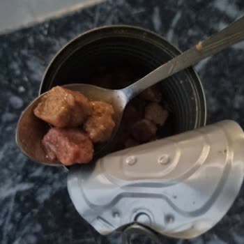 Yanıltıcı Etiketli Kedi Konservesi Ve Tekrarlanan Yanlış Ürün Gönderimleri