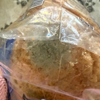 Migros’ta Satılan UNO Tam Buğday Ekmeği Küflü Çıktı