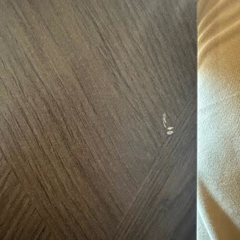 Özensiz Taşıma Ve Saygısız Tutum Nedeniyle 40.000 TL Ücret Ve Zararlar Karşılanmadı