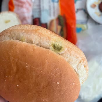 Küflü Hamburger Ekmeği Şikayeti