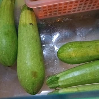 Sebzelikte Sürekli Nemlenme Ve Çözülmeyen Sorunla Ayıplı Beko Buzdolabı Değişimi Talebi