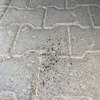 Eki aç