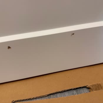 İki Kez Hasarlı Pax Grimo Kapak Ve Cevapsız IKEA Desteği