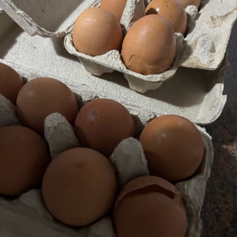 Kırık Yumurta Teslimatı İçin İade Ve Toplama İşlemi Gerçekleşmedi