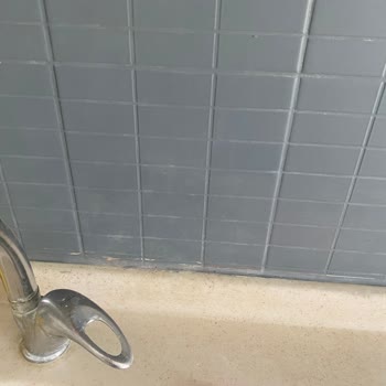 Armut Uygulamasında Hatalı Boyama, Fatura Kesilmemesi Ve Müşteri Mağduriyeti