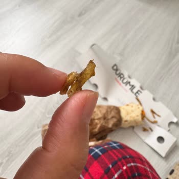 Küflenmiş Tavuk Dürüm: Hijyen Skandalı Ve Sağlık Riski