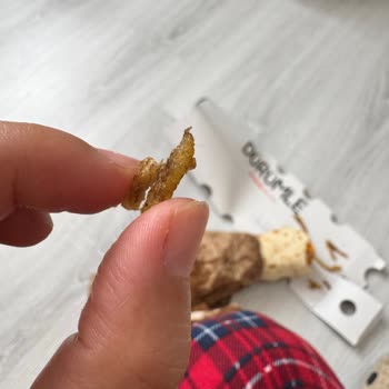 Küflenmiş Tavuk Dürüm: Hijyen Skandalı Ve Sağlık Riski