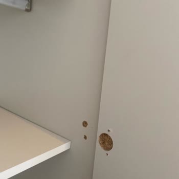 Montaj Kalitesizliği Nedeniyle Dolap Kapakları Kapanmıyor