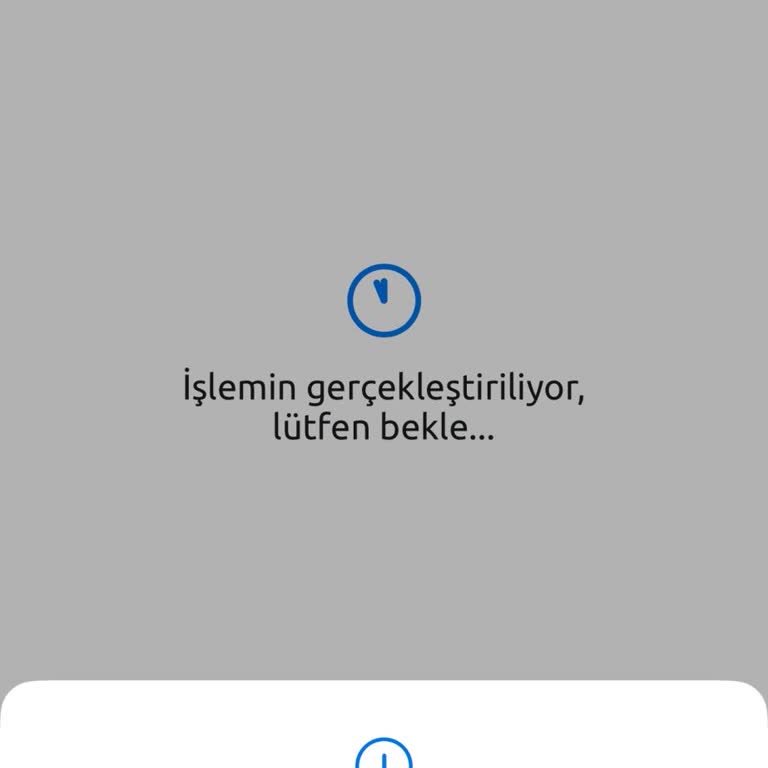 Passo Lig Kartımda Telefon Numarası Güncellenemiyor