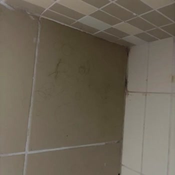 Manzarasız Oda Ve Çözülmeyen Elektrik Sorunu Tatilinizi Mahvetti