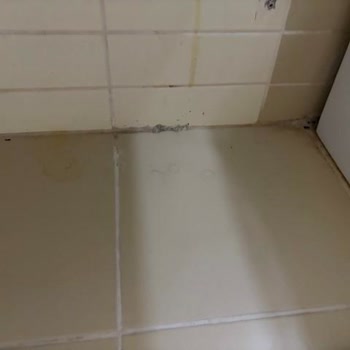 Manzarasız Oda Ve Çözülmeyen Elektrik Sorunu Tatilinizi Mahvetti